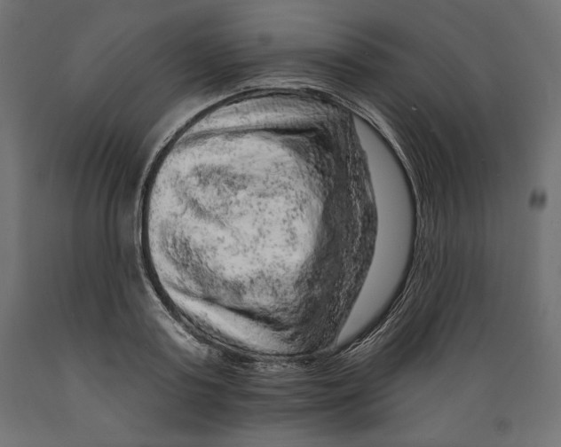 X0000088870795200707061346