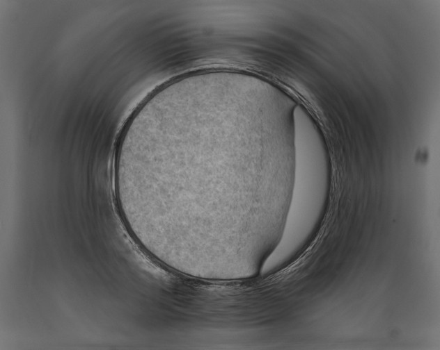 X0000088870796200707061346