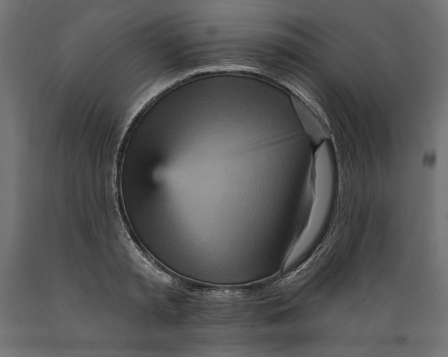 X0000088870797200707061346