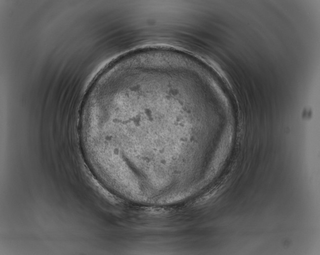 X0000088870799200707061346