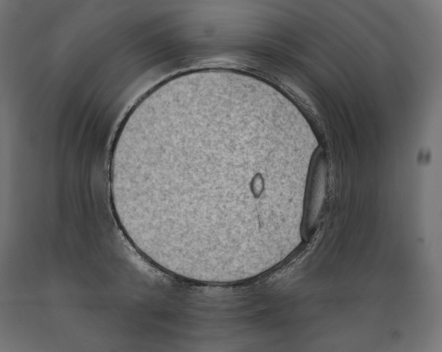 X0000088870800200707061346