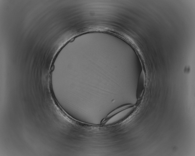 X0000088870802200707061346