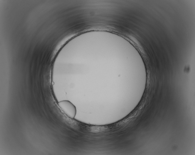 X0000088870804200707061346