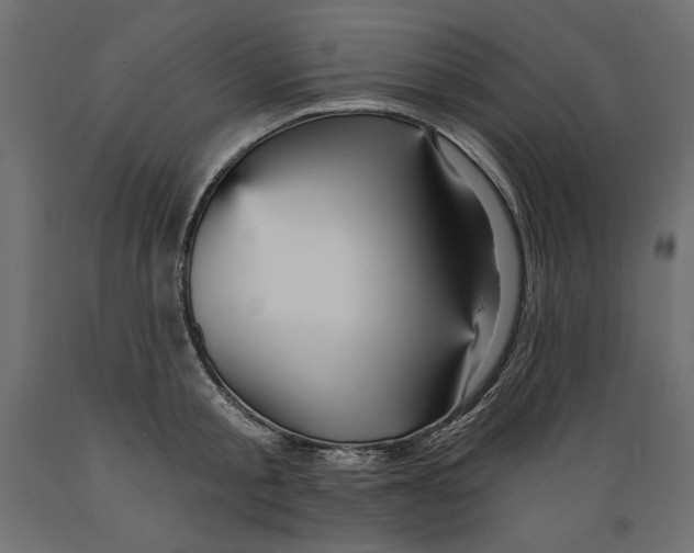 X0000088870805200707061346