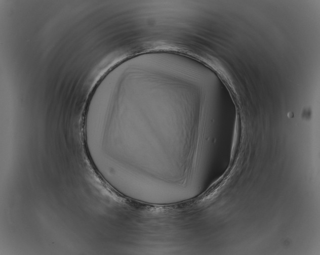 X0000088870806200707061346