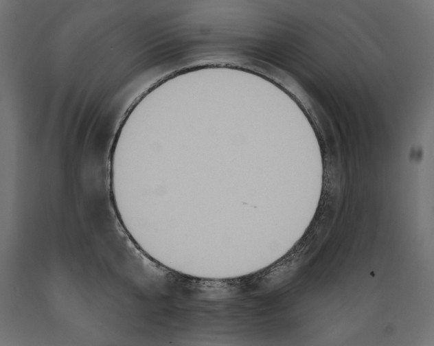 X0000088870807200707061346