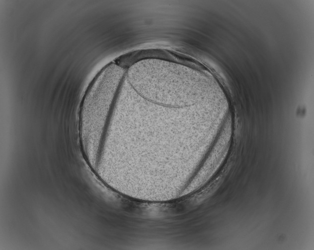 X0000088870808200707061346