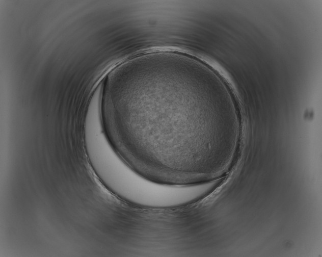 X0000088870809200707061346