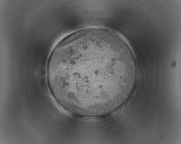 X0000088870811200707061346