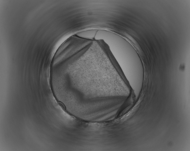 X0000088870812200707061346