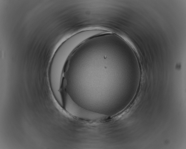 X0000088870813200707061346