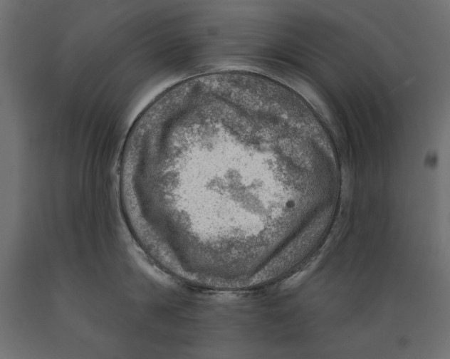 X0000088870814200707061346