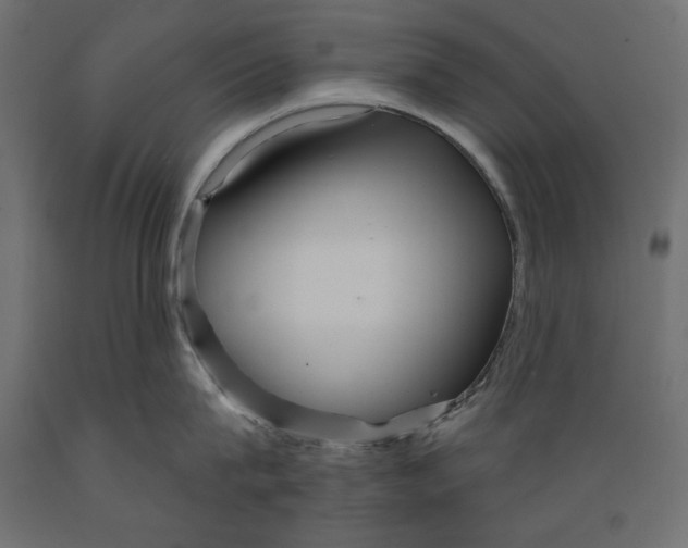X0000088870815200707061346
