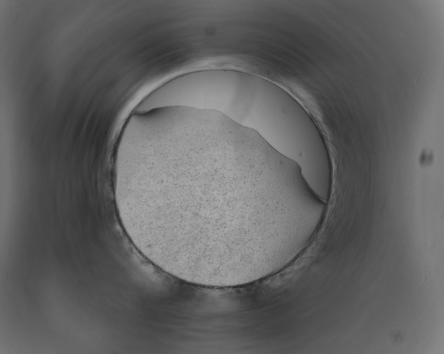 X0000088870816200707061346