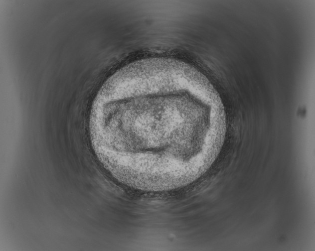 X0000088870817200707061345