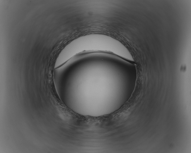 X0000088870818200707061345