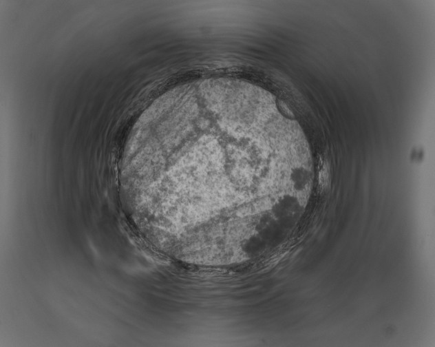 X0000088870819200707061345
