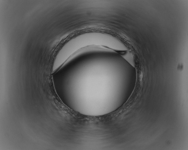 X0000088870822200707061345