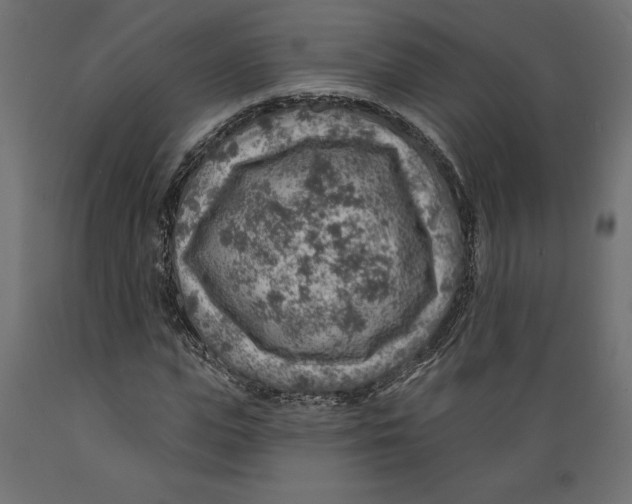 X0000088870823200707061345