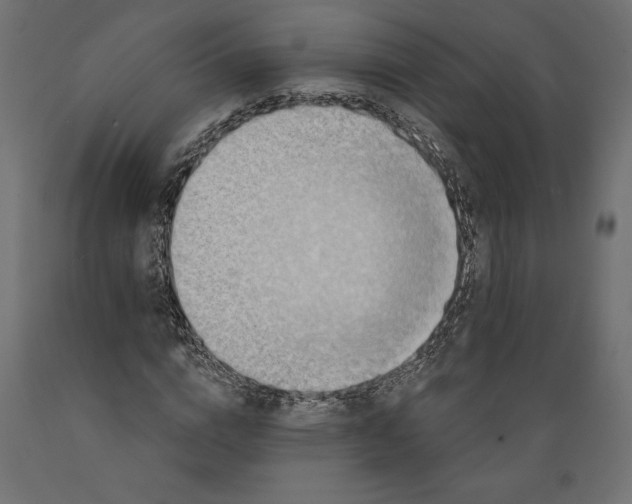 X0000088870824200707061345
