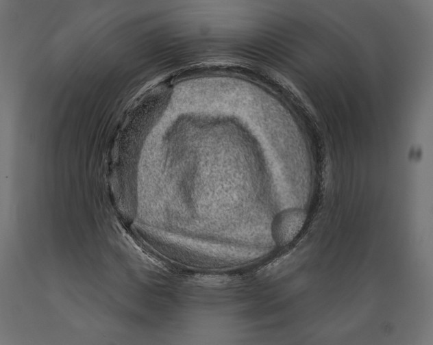 X0000088870825200707061345