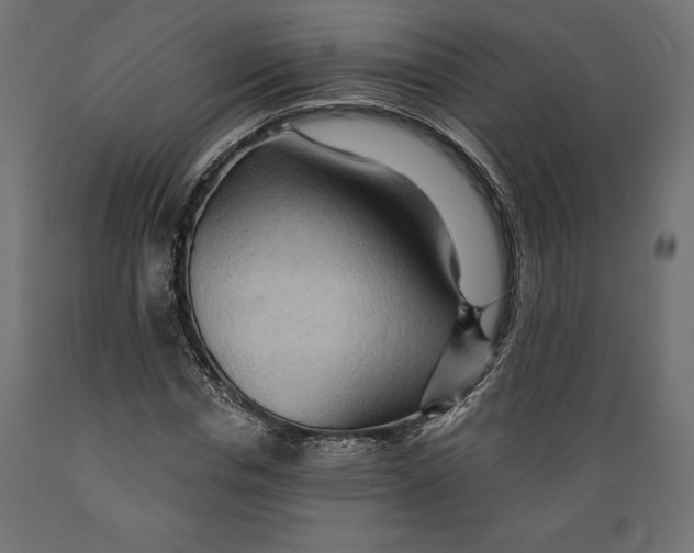 X0000088870826200707061345