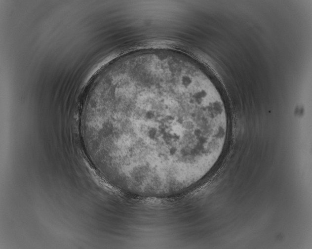 X0000088870827200707061345