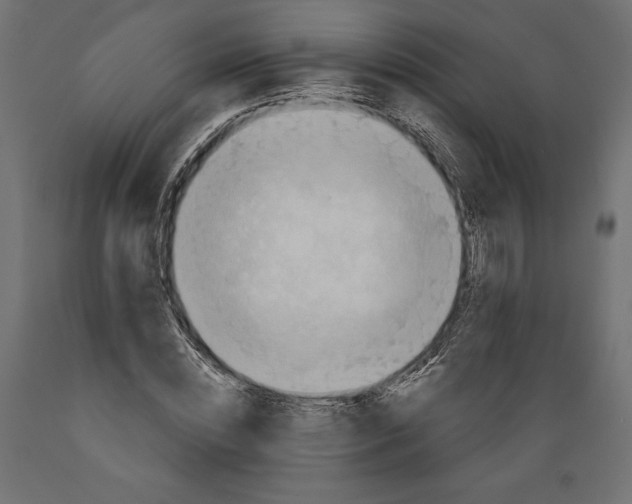 X0000088870828200707061345
