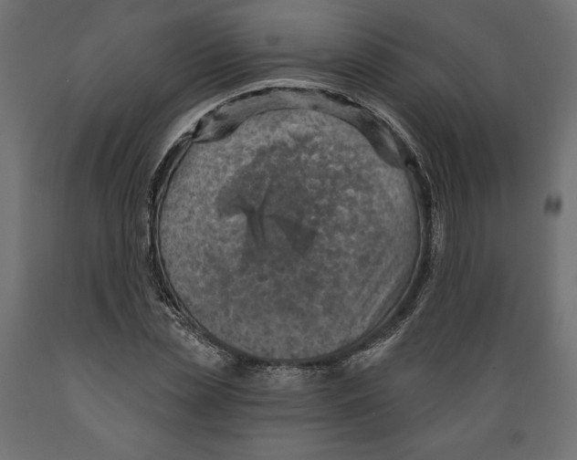 X0000088870829200707061345