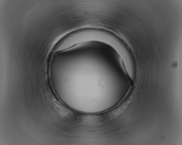 X0000088870830200707061345