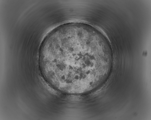 X0000088870831200707061345