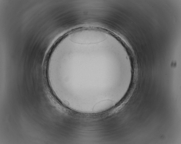 X0000088870832200707061345
