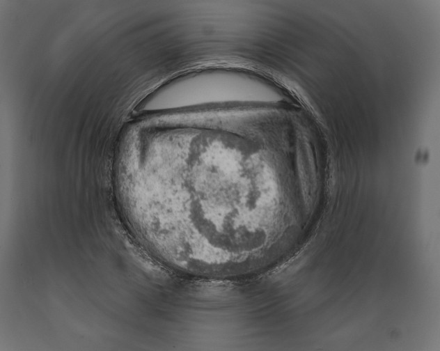 X0000088870833200707061345