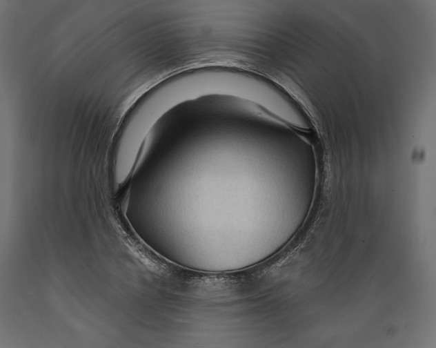 X0000088870834200707061346