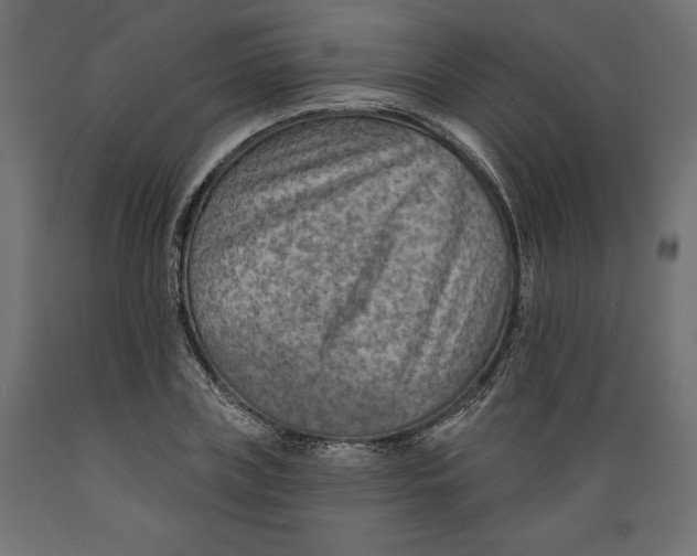X0000088870835200707061346