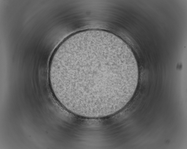 X0000088870836200707061346