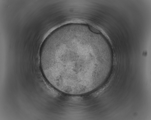 X0000088870837200707061346