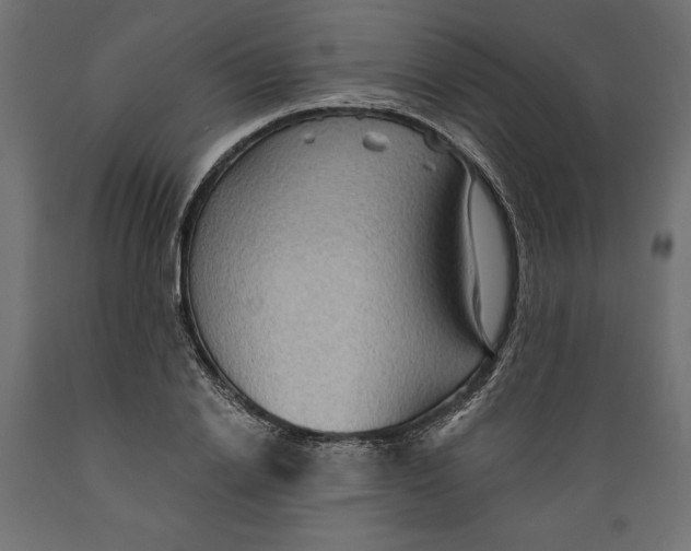 X0000088870838200707061346