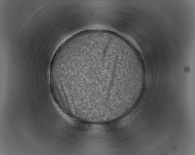 X0000088870839200707061346