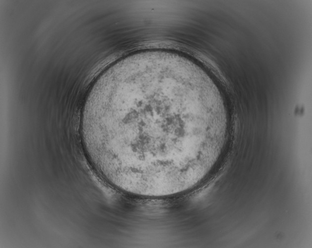 X0000088870841200707061346