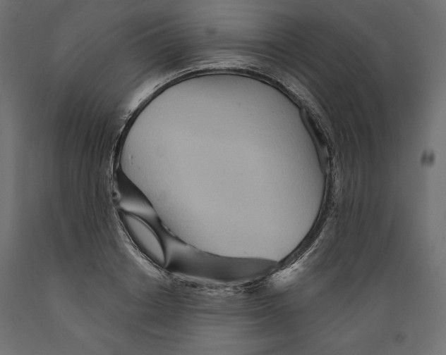 X0000088870842200707061346