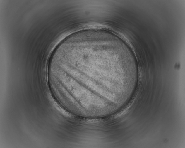 X0000088870843200707061346
