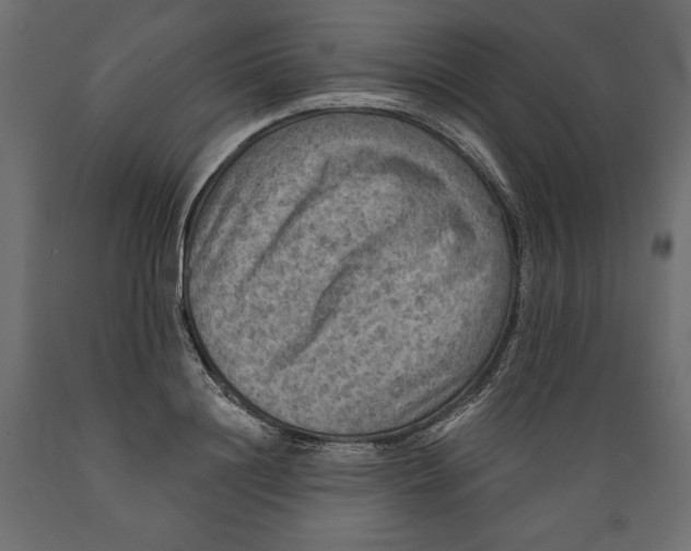 X0000088870844200707061346