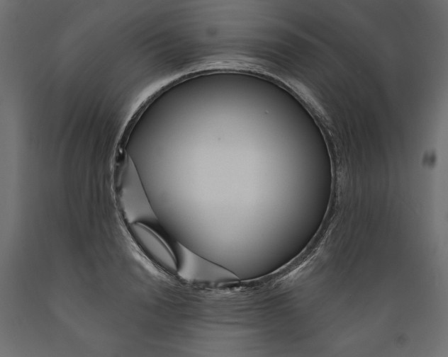 X0000088870846200707061346