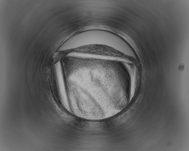 X0000088870849200707061346