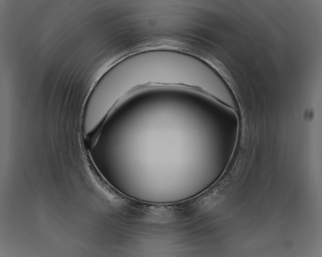 X0000088870850200707061346