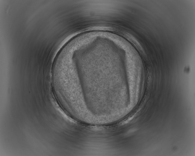 X0000088870852200707061346