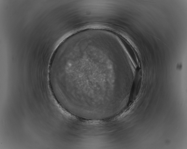 X0000088870853200707061346