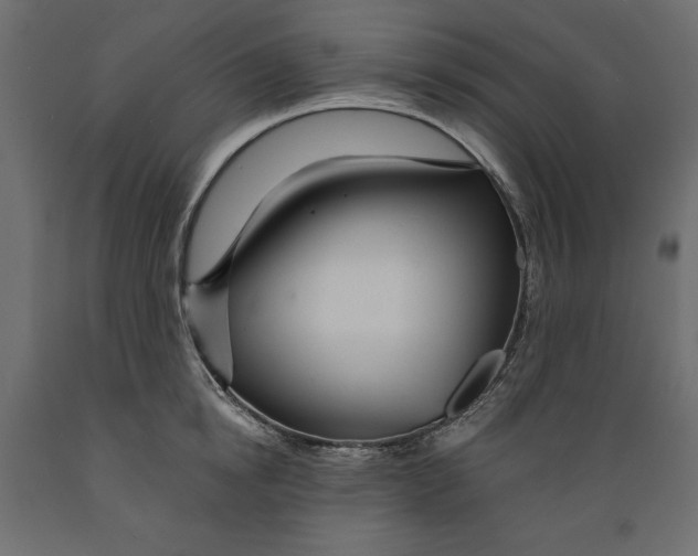 X0000088870854200707061346