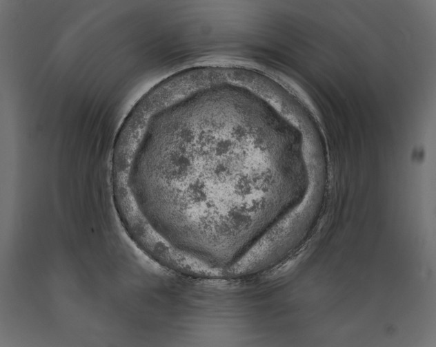 X0000088870855200707061346
